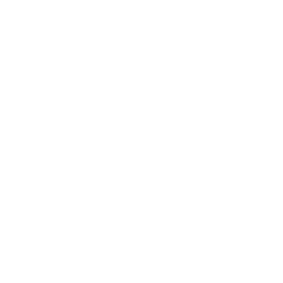 Ferry FYI