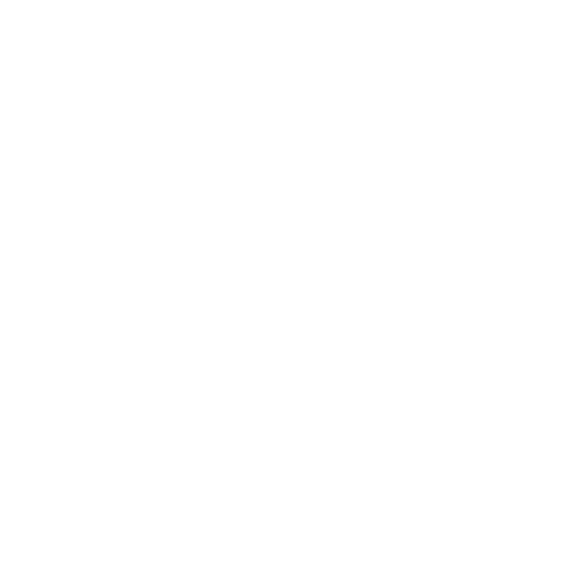 Ferry FYI